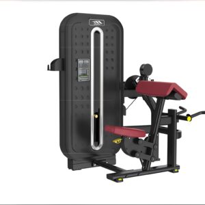 Bicep Curl Machine