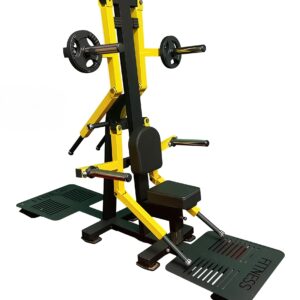 LATERAL RAISE (PIN LOADED)